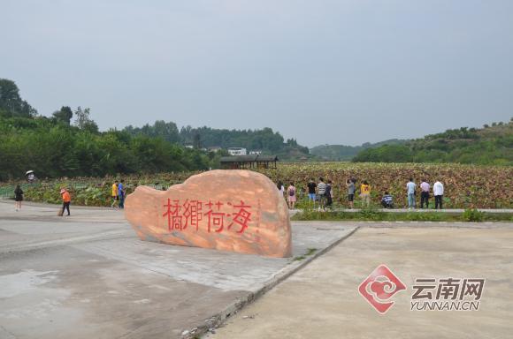 我的家乡重庆忠县新立田园综合体,2020年忠县新立镇田园综合体规划