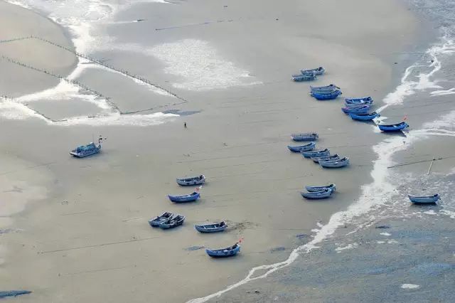 国家有什么螃蟹,国家保护的螃蟹有哪些