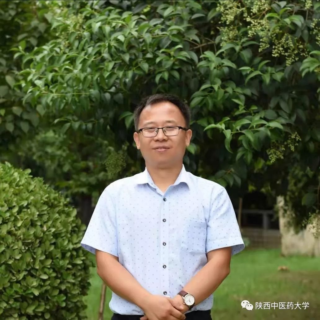 向身边优秀教师学习致敬文案,向教师致敬先进事迹