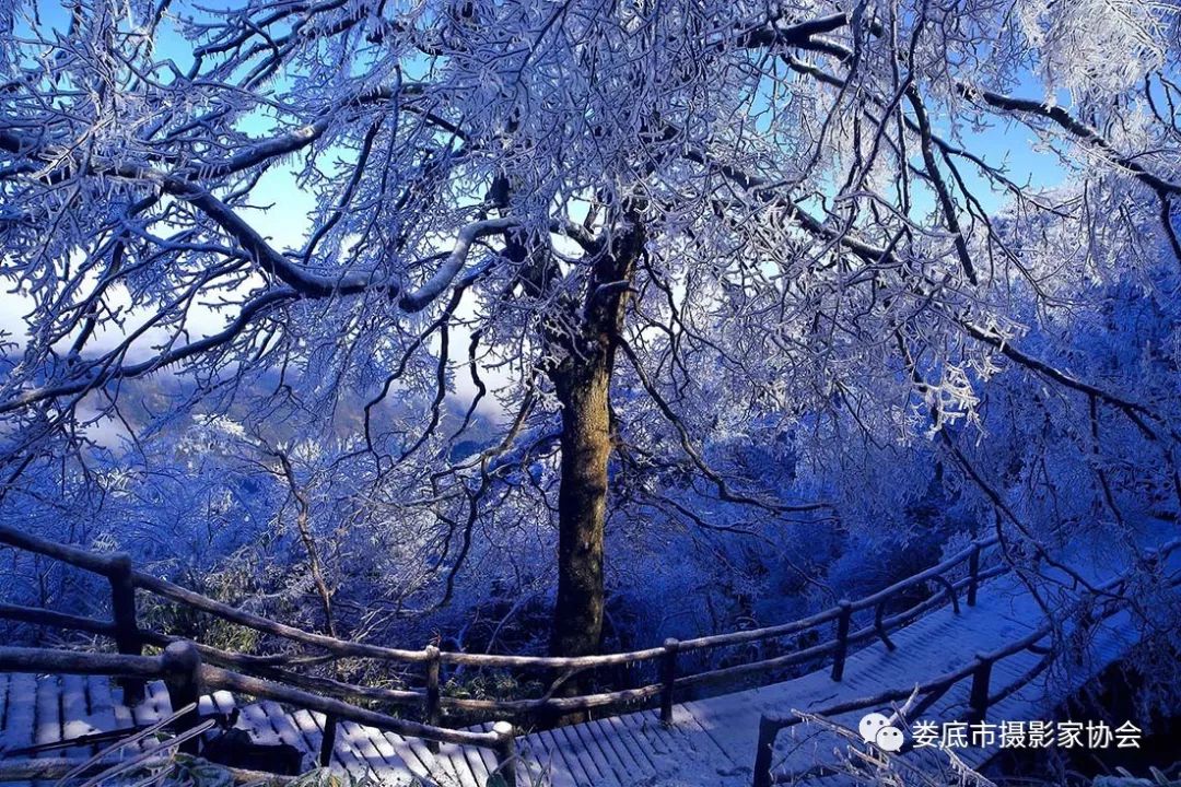 生态娄底美丽家园——【壮丽70年奋斗新时代】娄底首届风光摄影作品展览生态小品作品选登