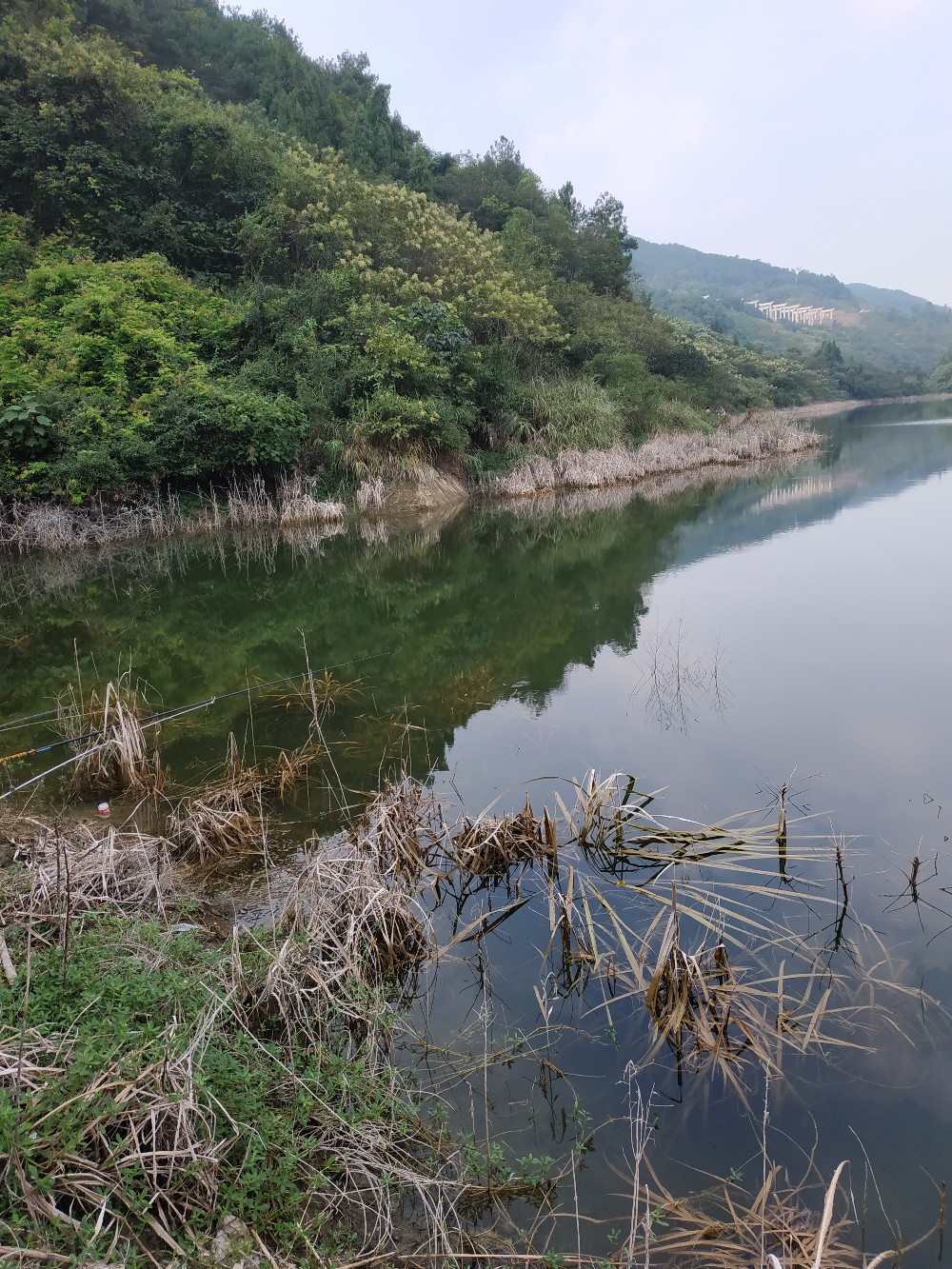 如何把握钓鱼时间,一天钓鱼最好时间段是中午吗