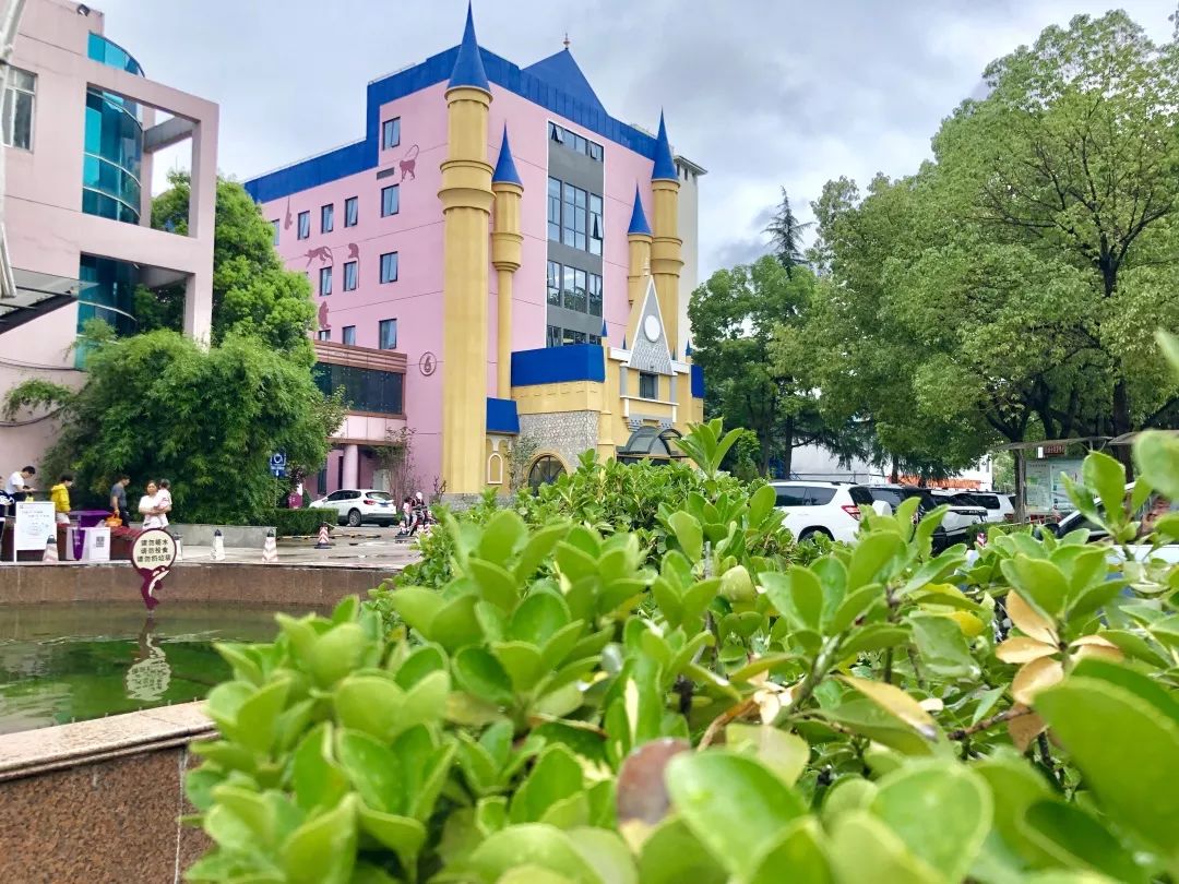 省政府点名表扬,被省卫健委通报批评后果