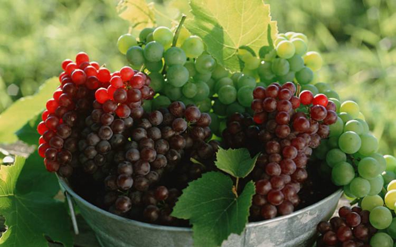 滨州市朗诵协会新年诗会,滨州诗词朗诵协会