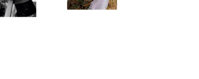 身体乳怎么选择最好的,美人身体乳推荐袋装