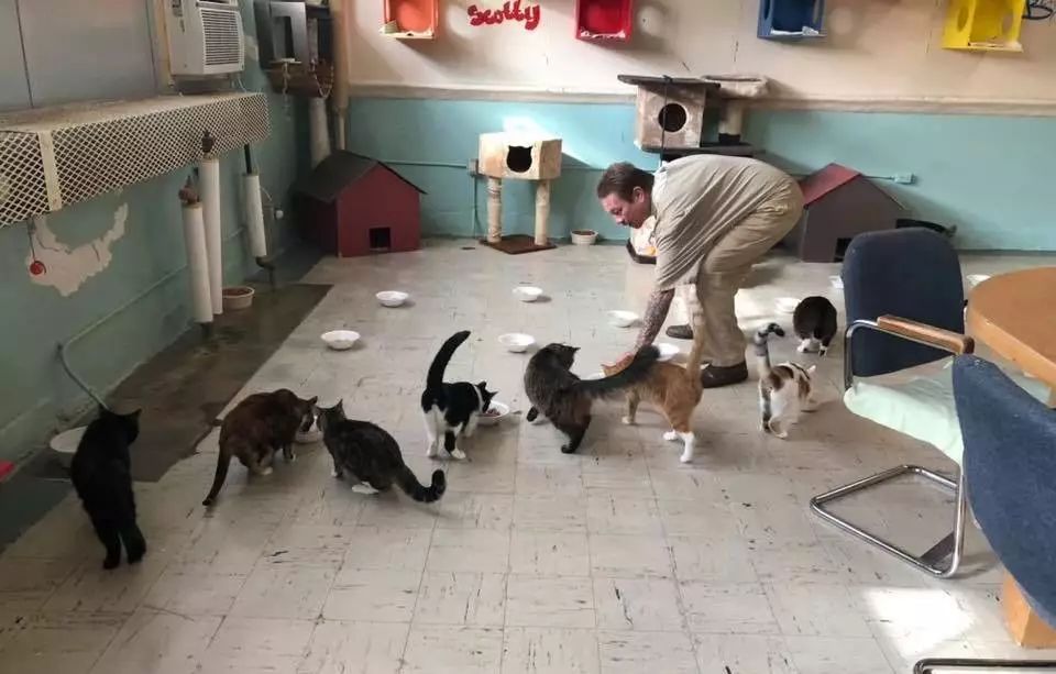 丽江宠物基地,丽江最好的宠物医院