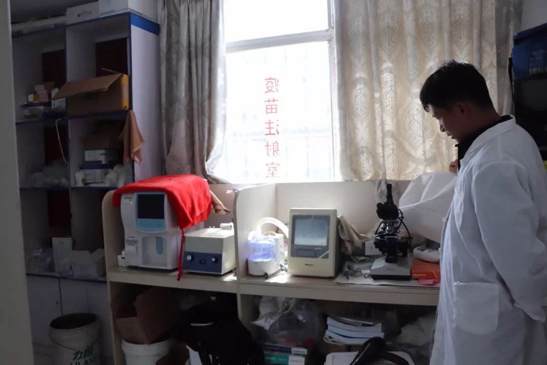 丽江宠物基地,丽江最好的宠物医院