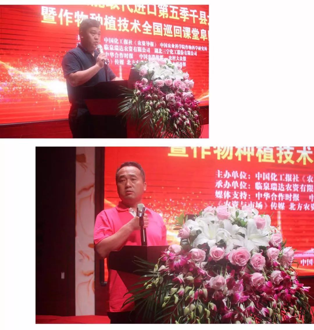 用三宁，打姜山！每亩多收6000元，农户喜开颜