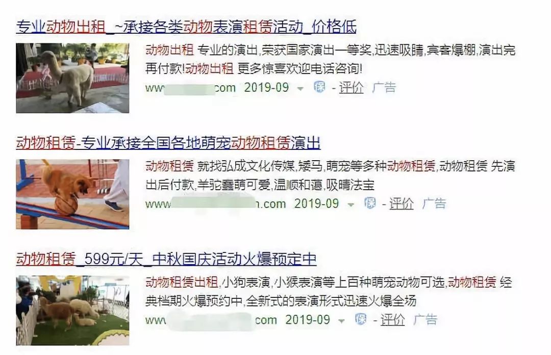 马戏团老虎逃脱后死亡,马戏团老虎脱逃最新结果