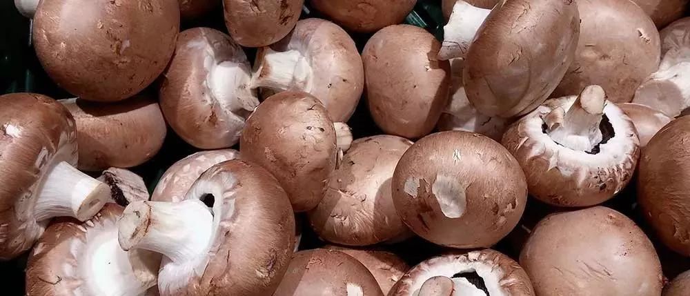 白糖到底多厉害,原来白糖还有这些作用