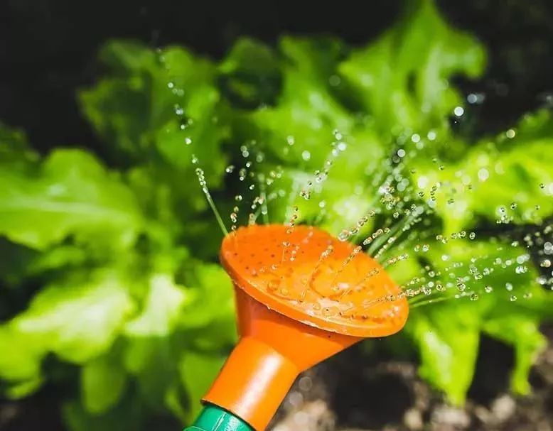 白糖到底多厉害,原来白糖还有这些作用