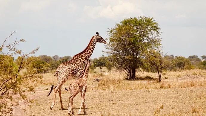 鍧︽灏间簹涓庡ぇ鑷劧,鍧︽灏间簹鑷劧椋庡厜鐪熺編