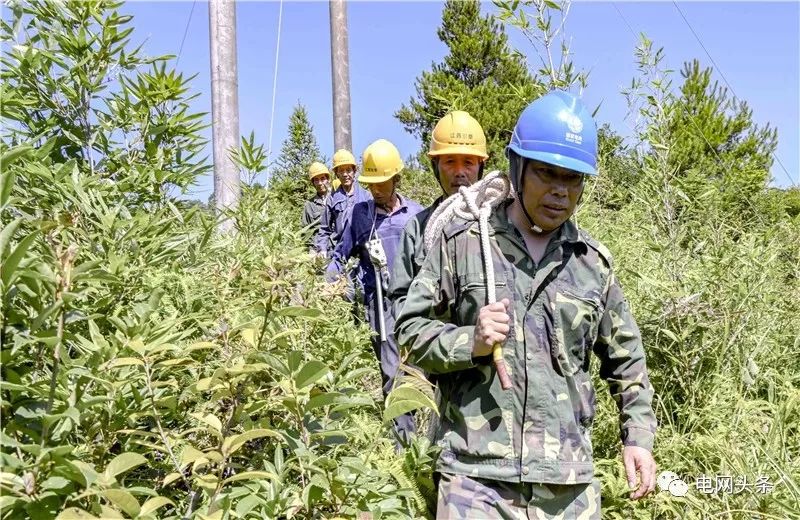 老人攥着一张小纸条，一见供电员工就塞进他手里…