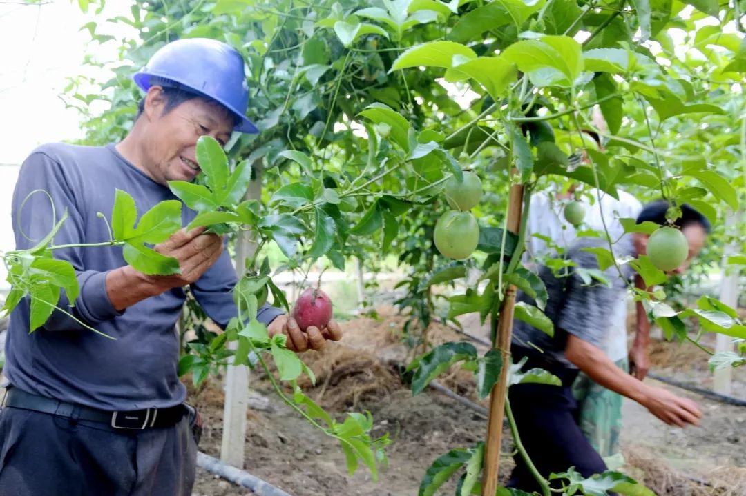聚焦美丽乡村面貌提升,聚焦美丽乡村建设