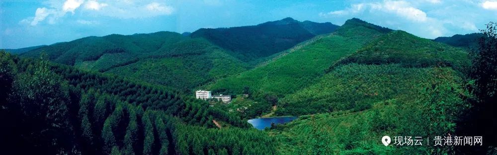 发布:腾飞的港南!