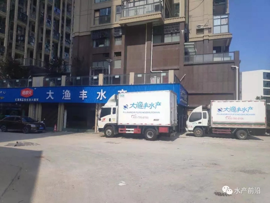 土豪老板成功养殖了数10万条鱼,人工养殖中国国宝娃娃鱼