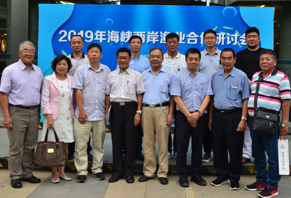 东方财经论坛节目,东方财经报道视频