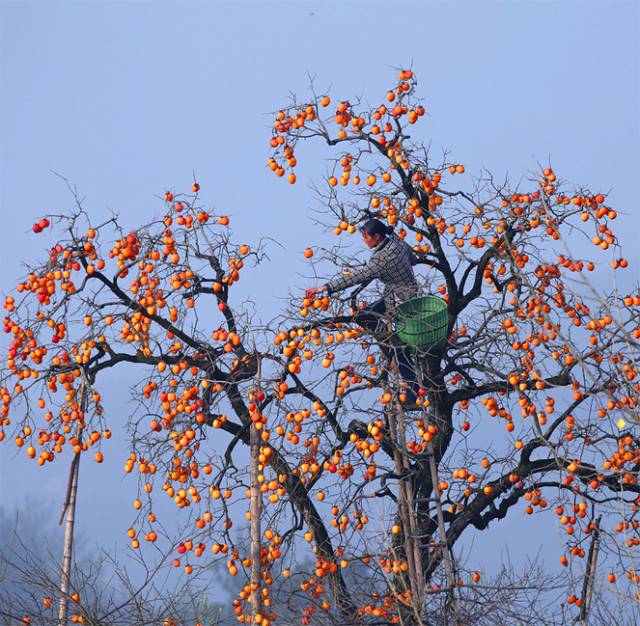 鍗佷竴鍋囨湡濠烘簮鏃呮父鏀荤暐,濠烘簮鍗佷竴鏈堜唤鏃呮父鏀荤暐