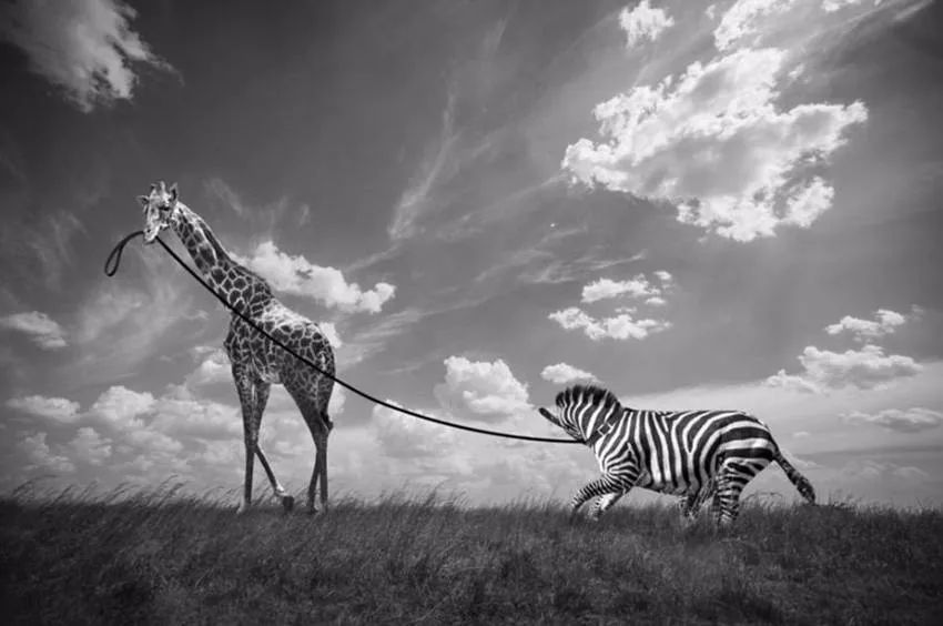 怪物、畸形与幽灵——“怪物”概念的三重变体