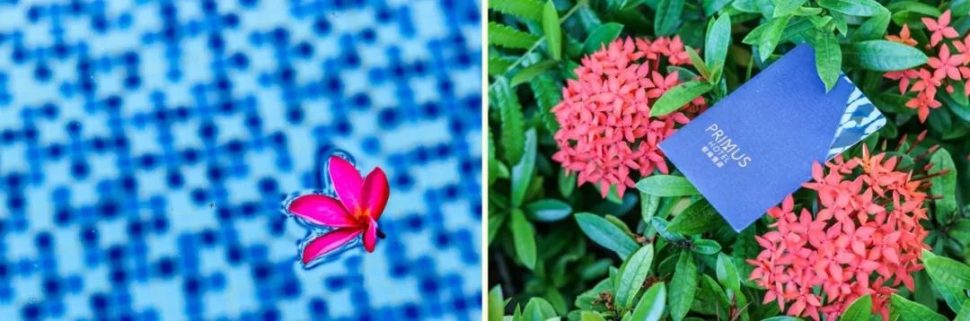 中秋刷屏的绿地酒店又来“搞事情”：海南首家铂瑞酒店全面开幕，性价比无敌