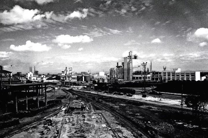 1130什么星座,白桥是什么星座