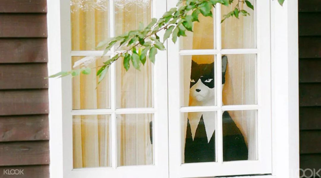 去日本旅游不知道买什么,去日本买jrpass合适吗