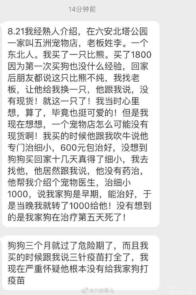 怎么看一家宠物店正不正规,怎么看宠物店有没有坑你