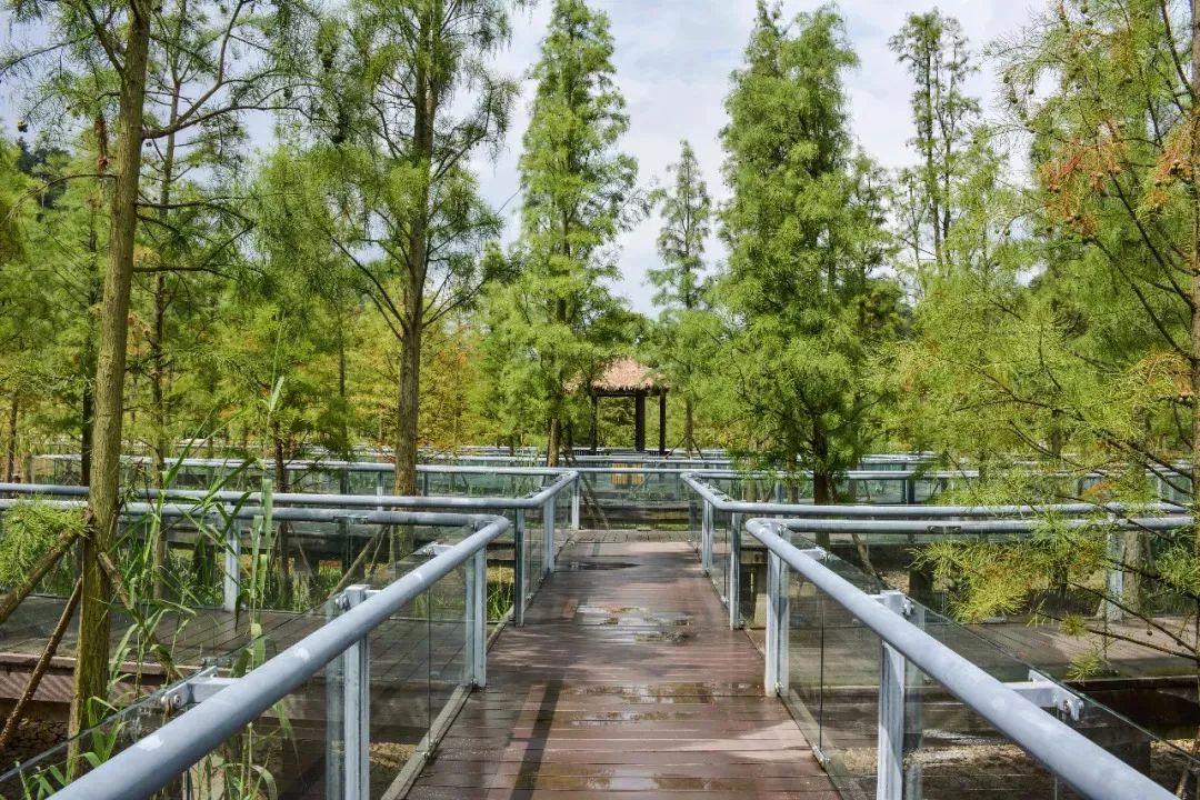 周末陪家人游大自然,周末陪家人到郊外游玩