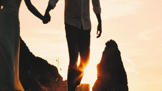 2023生肖牛全年运势大全图表,2023年12生肖流年运势详解生肖牛