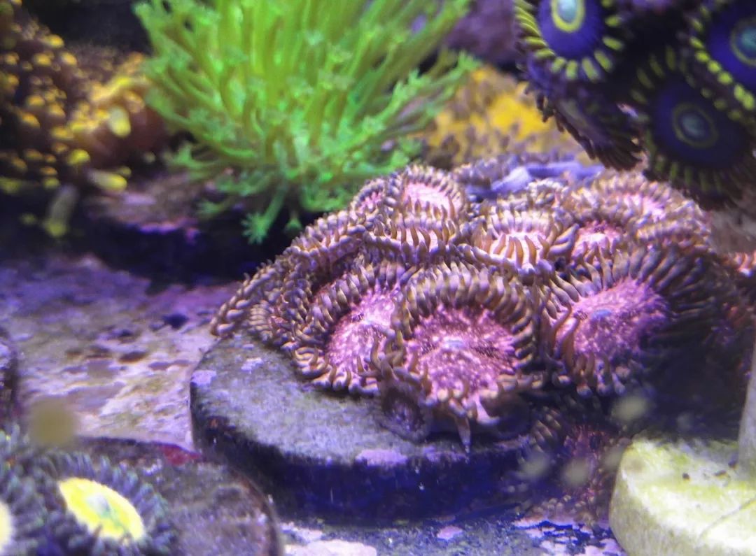 40小缸全套,40的方缸用多大的过滤桶