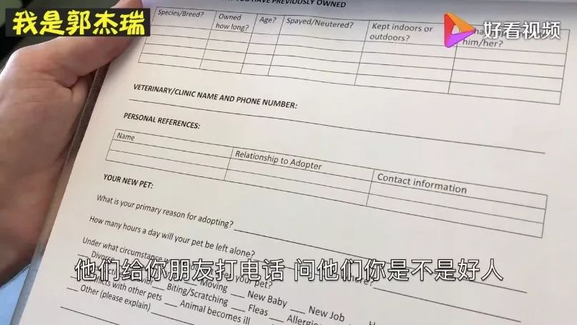 国内外宠物领养问题有哪些,很好的宠物为什么免费领养