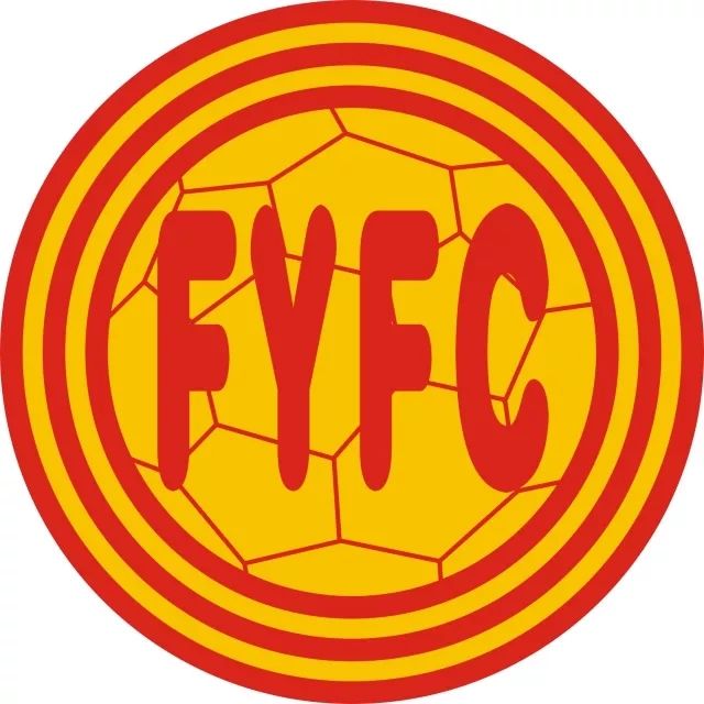 青扬杯全国青少年足球赛,2019年元旦和合杯青少年足球赛