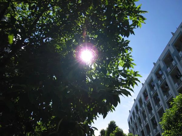 珠海|Onenightin珠海，你为了什么会留下来？