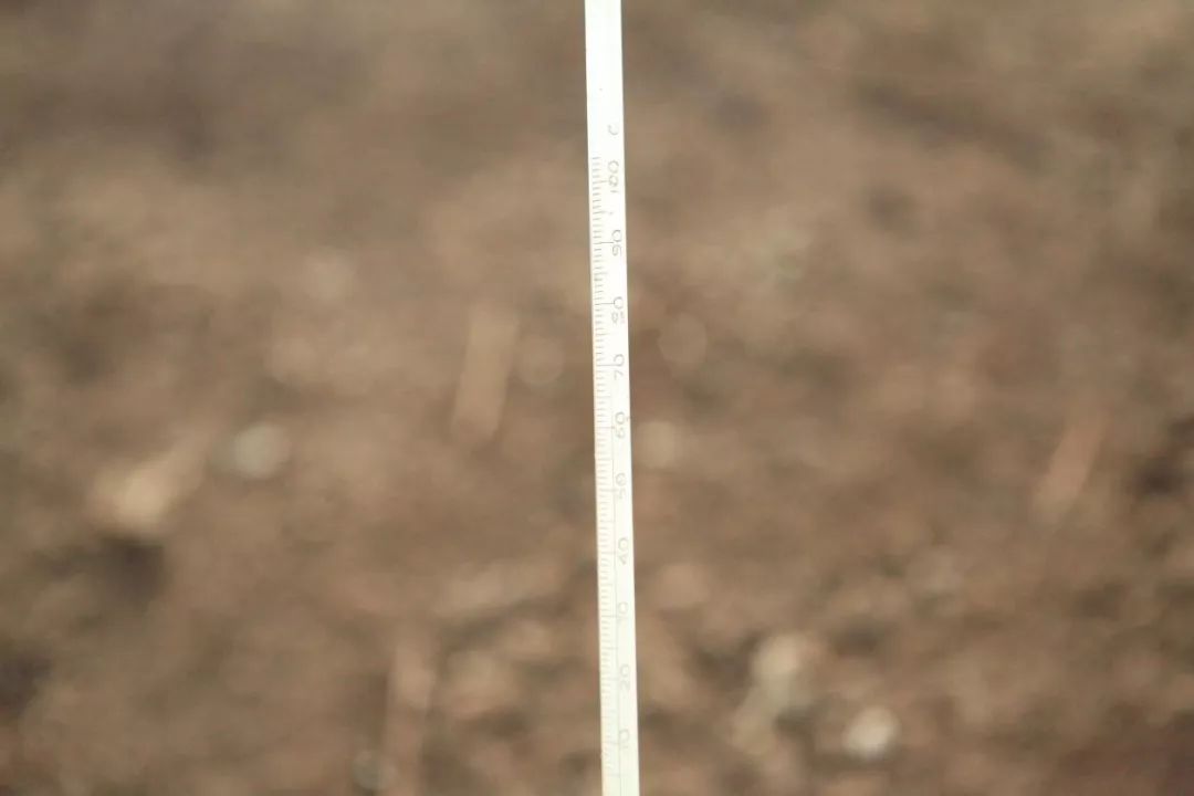 有机肥市场需求广阔,国内十大生物有机肥前10排名