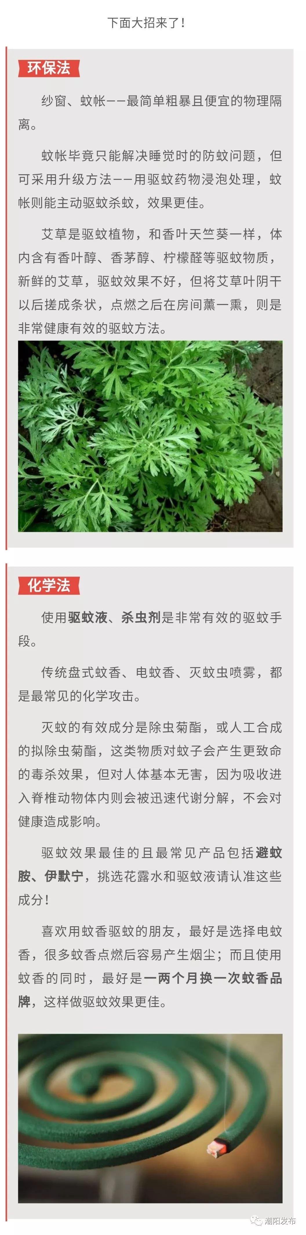 低毒室外灭蚊最有效的方法,最有效灭蚊的方法