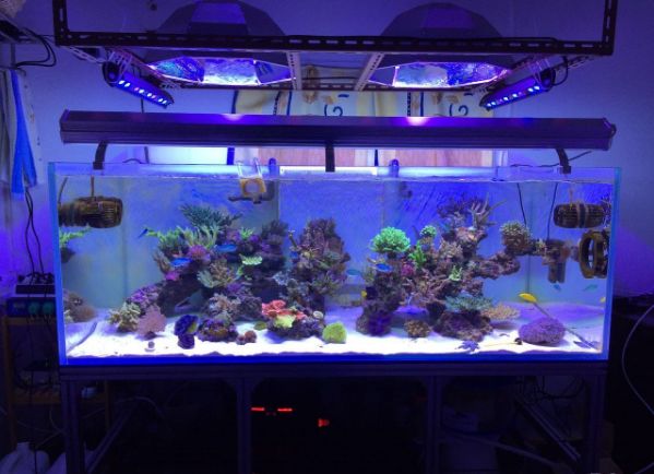 1.5米的大缸,1.5米大缸溪流造景