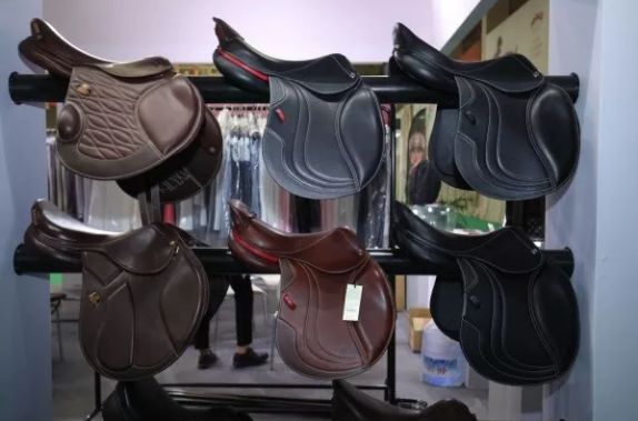 马术马业博览会,2024第十四届马业马术展