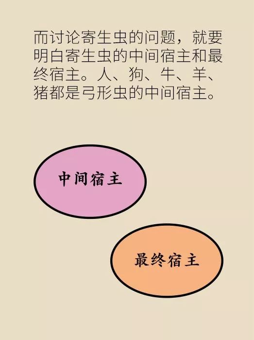 怀孕了家里有猫狗还可以继续养吗,家里一直有猫狗怀孕了怎么办