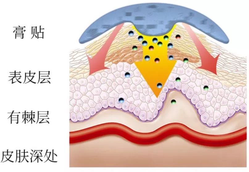 低头族的福音10分钟缓解颈椎,一分钟学会肩颈按摩拯救低头族