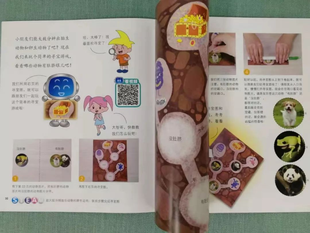 3~7岁孩子必备的科普读物《小小牛顿幼儿馆》，华语世界最有影响力的台湾童书