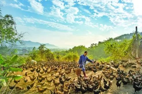 壮丽70年奋斗新时代在哪看,壮丽70年彰显新魅力