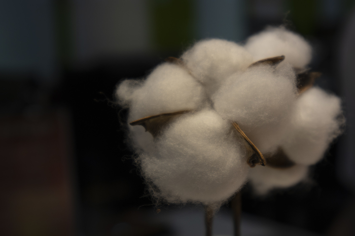 佳能vlog神器v10,佳能vlog神器v10最新报价