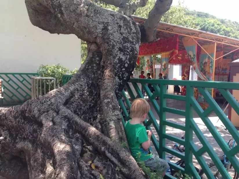 为了泳滩,遇上稔子和山日