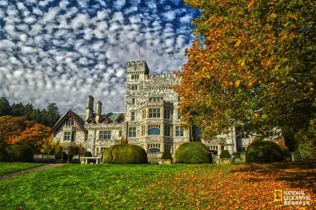 去加拿大必去景点有哪些地方,在加拿大10月中旬旅游地点推荐