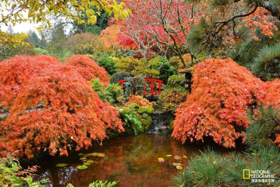 去加拿大必去景点有哪些地方,在加拿大10月中旬旅游地点推荐