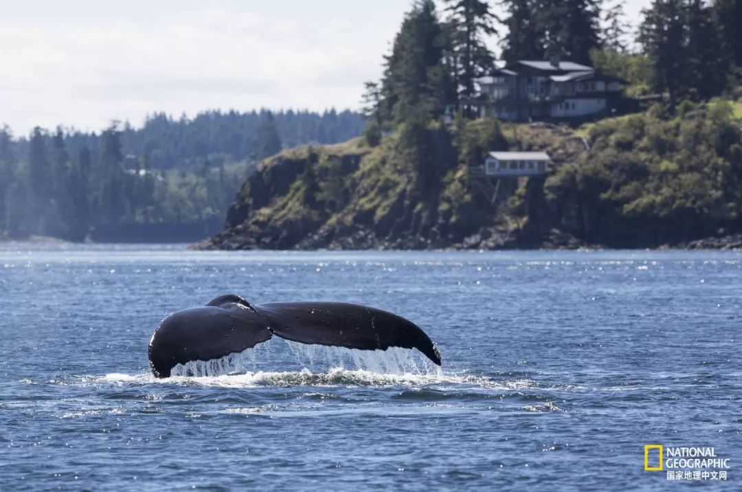 去加拿大必去景点有哪些地方,在加拿大10月中旬旅游地点推荐