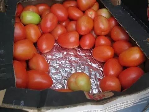 大鱼油软胶囊功效与作用,关于吃保健品危害的案例