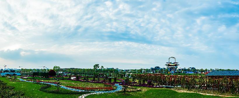 培育农业产业新动能新活力新业态,壮大特色产业激发现代农业活力