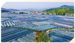 壮丽七十年阔步新时代,庆祝新中国成立70周年繁荣昌盛