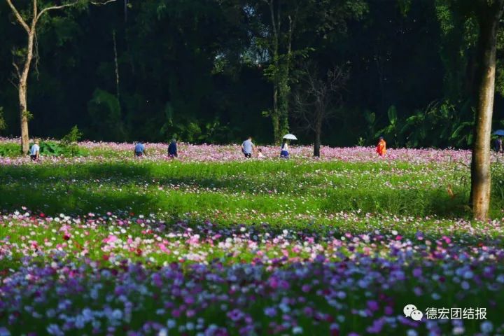 国庆云南德宏,德宏国庆放假时间安排2020