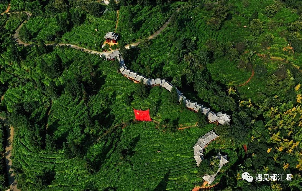 五星红旗同框感受,跟五星红旗合影感想